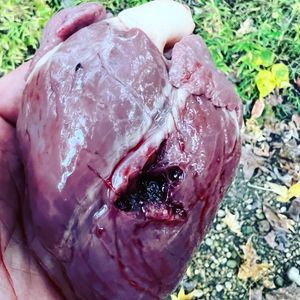 Image post by @thehuntingchallenge on Instagram