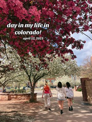 Video post by @filmbychloeg on TikTok