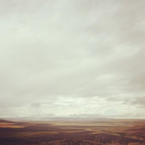 Image post by @chrislholder on Twitter