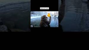Video post by @google on YouTube