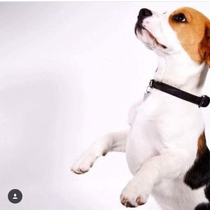 Image post by @candmclub on Instagram