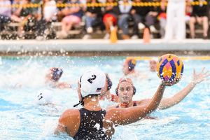 Image post by @womenswp_usa on Instagram