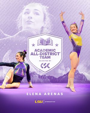 Image post by @LSUgym on Twitter