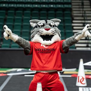 Image post by @davidsonwildcat on Instagram