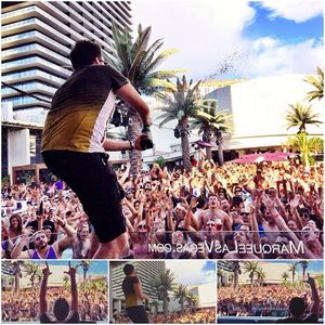 Image post by @marqueelv on Instagram