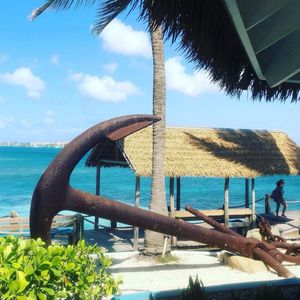 Image post by @caribbeansunshine2.0 on Instagram