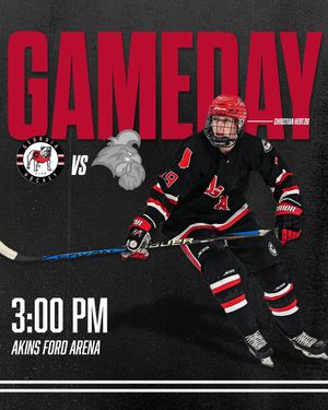 Image post by @ugahockeyd3 on Instagram