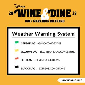 Image post by @runDisney on Twitter
