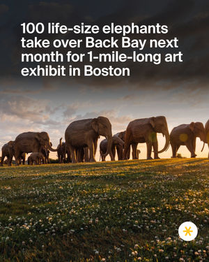 Image post by @boston_uncovered on Instagram