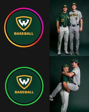 Image post by @waynestatebaseball on Instagram