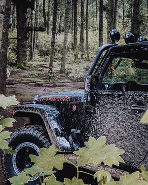 Image post by @abeltone on Instagram
