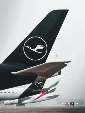 Image post by @lanseriaflightcentre on Instagram