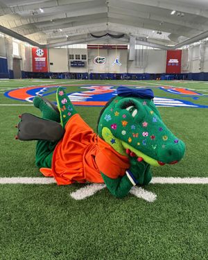 Image post by @albertathegator on Instagram