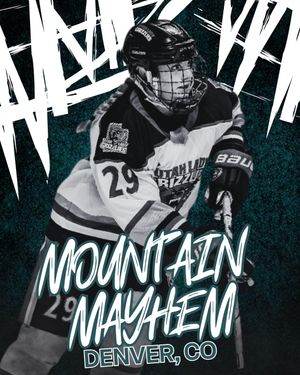 Image post by @utahladygrizzlieshockey on Instagram