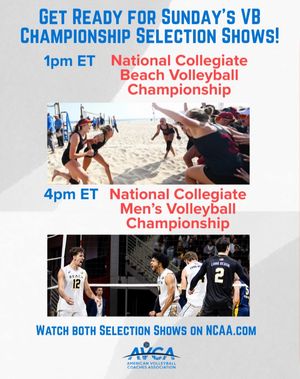 Image post by @avcavolleyball on Instagram