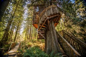 Image post by @treehousepoint on Instagram