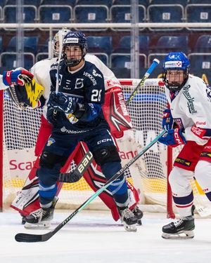 Image post by @leijonatfi on Instagram