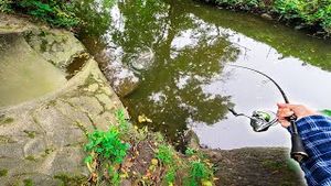 Video post by @jonasederfishing on YouTube