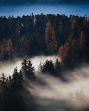 Image post by @daniel.schifferli on Instagram