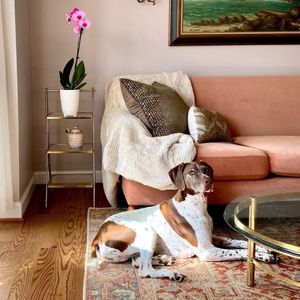 Image post by @wayfair on Instagram