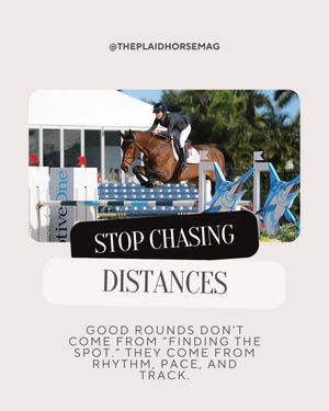 Image post by @theplaidhorsemag on Instagram