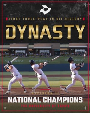 Image post by @demarini on Instagram