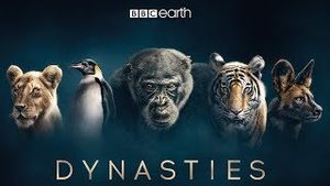 Video post by @bbcearth on YouTube