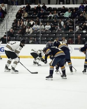 Image post by @luhockey_ncaa on Instagram