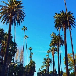 Image post by @jennifermqadir on Instagram