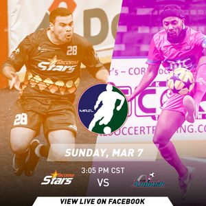 Image post by @stlouisambush on Instagram