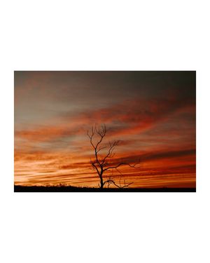 Image post by @emgarmstrong on Instagram