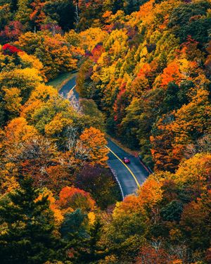 Image post by @wyethco on Instagram