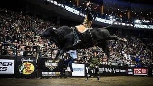 Video post by @pbr on YouTube