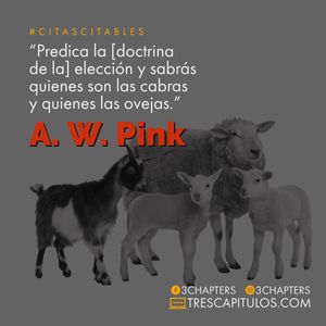 Image post by @3chapters on Instagram