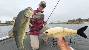 Video post by @lakeforkguy on YouTube
