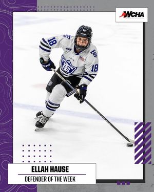 Image post by @tommiewhockey on Instagram