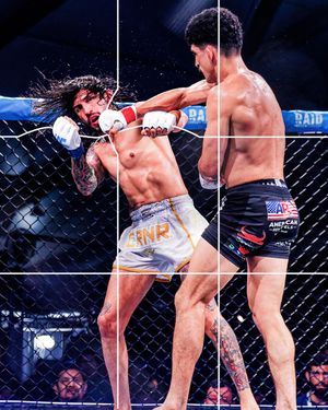 Image post by @upnextfighting on Instagram