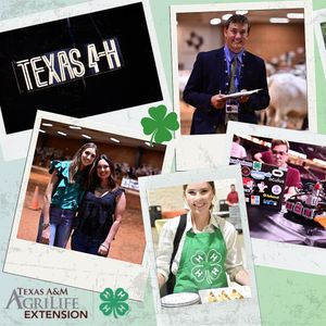 Image post by @txextension on Instagram