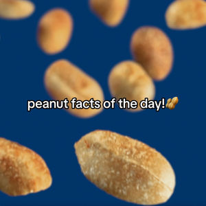 Image post by @mrpeanutoriginal on TikTok