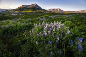 Image post by @canonusa on Instagram