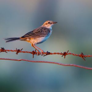 Image post by @txextension on Instagram