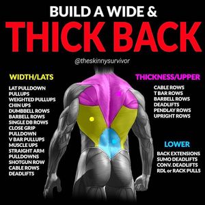 Image post by @thetrainingmanual on Instagram