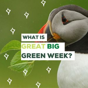 Image post by @rspb on Instagram
