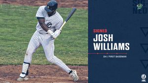 Image post by @IBL1919 on Twitter