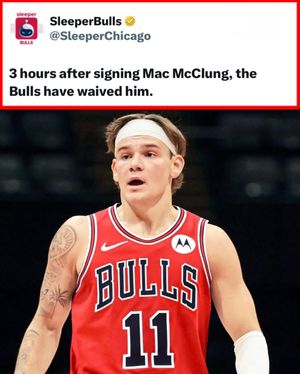 Video post by @whistle on TikTok