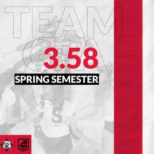 Image post by @DavidsonVB on Twitter