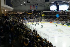 Image post by @augiemhockey on Instagram
