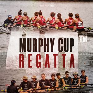 Image post by @templewrowing on Instagram