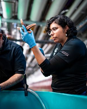Image post by @calacademy on Instagram