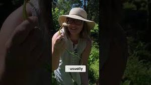 Video post by @bettertogetherlife on YouTube